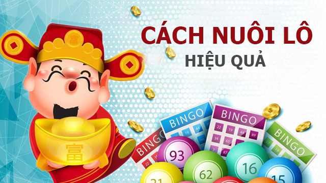 cách nuôi lô hiệu quả